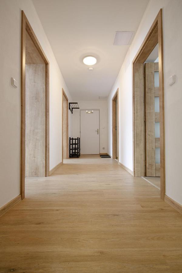 Apartman Zacler * Zacler